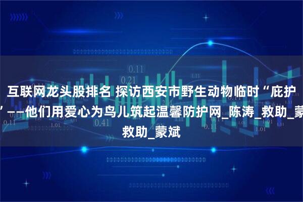 互联网龙头股排名 探访西安市野生动物临时“庇护所”——他们用爱心为鸟儿筑起温馨防护网_陈涛_救助_蒙斌
